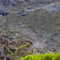 Trip to Kilimanjaro