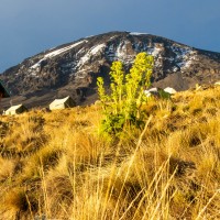 Trip to Kilimanjaro