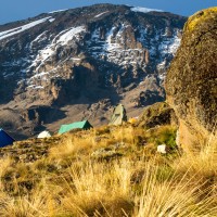 Trip to Kilimanjaro