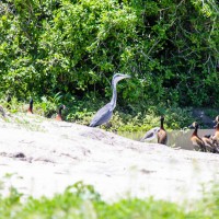 Tarangire National Park