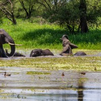 Tarangire National Park