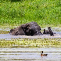 Tarangire National Park