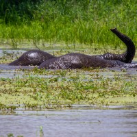 Tarangire National Park