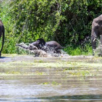 Tarangire National Park