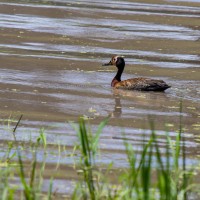 Tarangire National Park