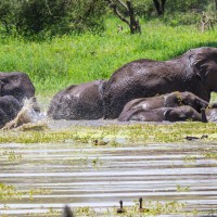 Tarangire National Park