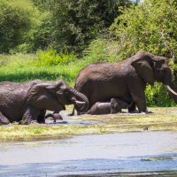 Tarangire National Park