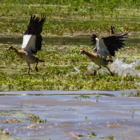 Tarangire National Park