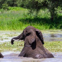 Tarangire National Park