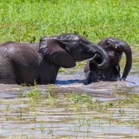 Tarangire National Park