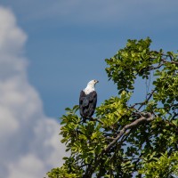 Tarangire National Park