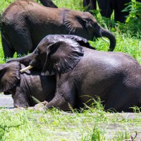 Tarangire National Park