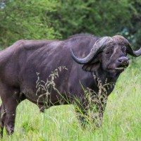 Tarangire National Park