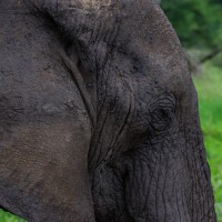 Tarangire National Park