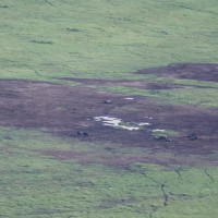 Ngorongoro Crater