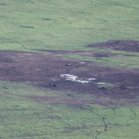 Ngorongoro Crater