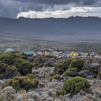 Trip to Kilimanjaro