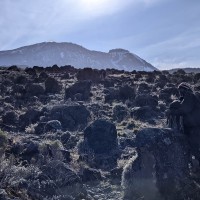 Trip to Kilimanjaro