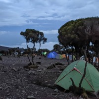 Trip to Kilimanjaro