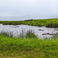 Ngorongoro Crater