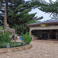 Trip to Kilimanjaro , Lake Manyara Game Reserve