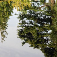 National Trust, Ascott House