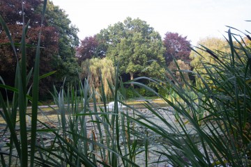 National Trust, Ascott House