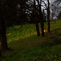 Waddesdon Manor Christmas Lights