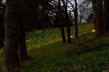 Waddesdon Manor Christmas Lights
