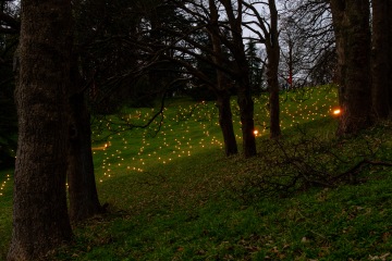 Waddesdon Manor Christmas Lights