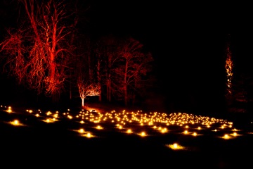 Waddesdon Manor Christmas Lights