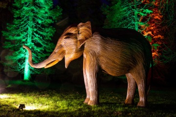 Waddesdon Manor Christmas Lights