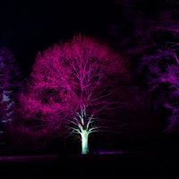 Waddesdon Manor Christmas Lights