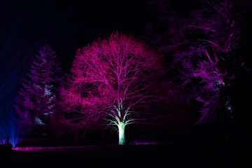 Waddesdon Manor Christmas Lights