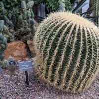 Leicester University Botanic Garden