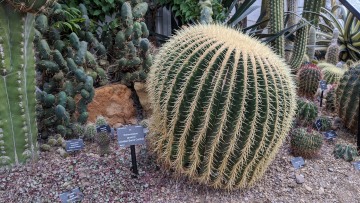 Leicester University Botanic Garden