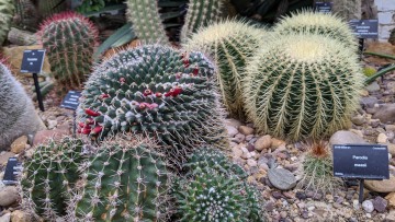 Leicester University Botanic Garden