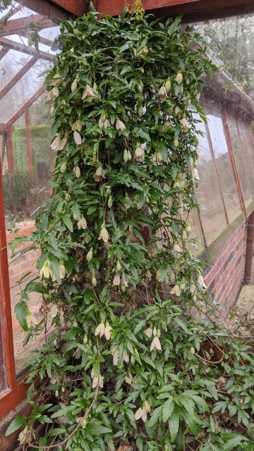 Leicester University Botanic Garden