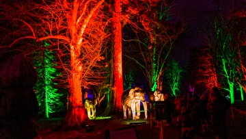 Waddesdon Manor Christmas Lights