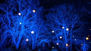 Waddesdon Manor Christmas Lights