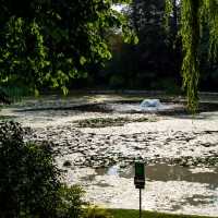 National Trust, Ascott House