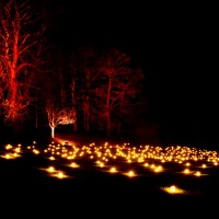 Waddesdon Manor Christmas Lights