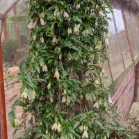 Leicester University Botanic Garden