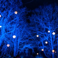 Waddesdon Manor Christmas Lights