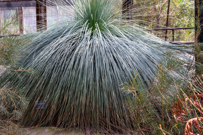 Cambridge Botanic Garden