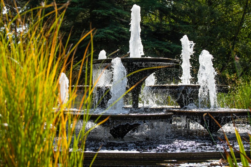 Cambridge Botanic Garden