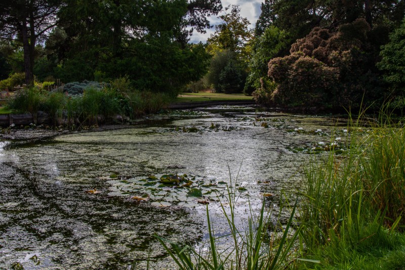 Cambridge Botanic Garden