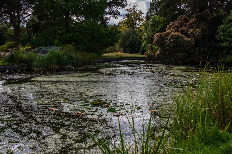 Cambridge Botanic Garden