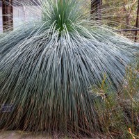 Cambridge Botanic Garden