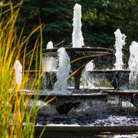 Cambridge Botanic Garden